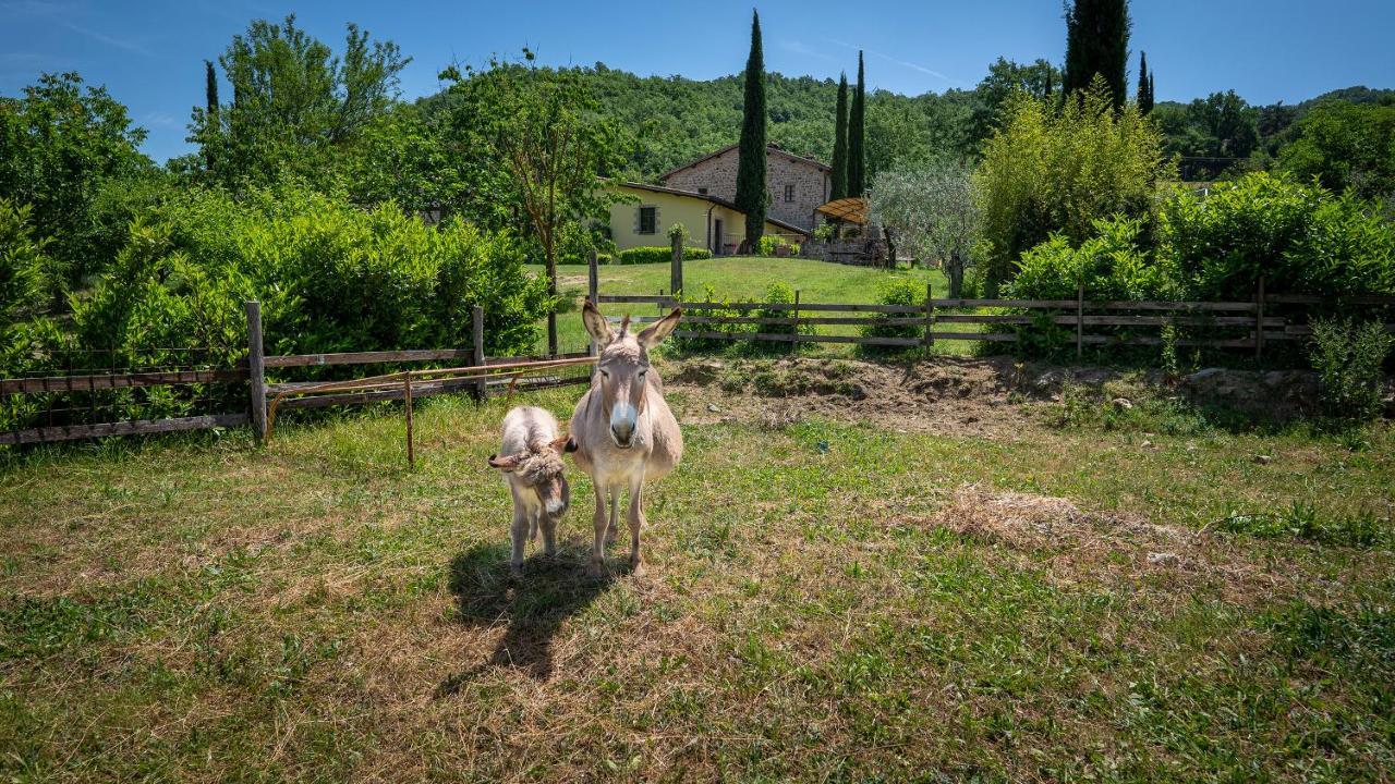 Agriturismo I Pietrini 佩鲁贾 外观 照片